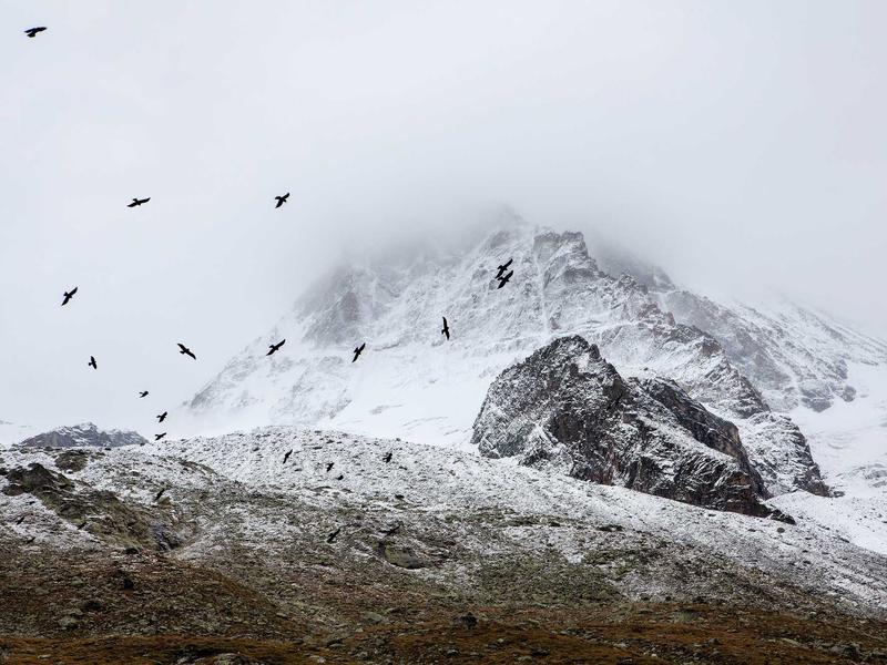 sudoku strategy guide screenshot 4